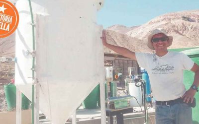 Descontaminación de aguas Aymará con algas