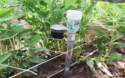 Decisión – Pilar 3 de Eficiencia Hídrica Agrícola
