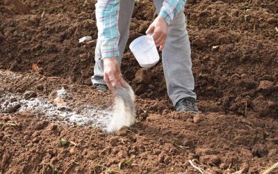 Hidrogeles agrícolas – ¿Cómo se aplican?