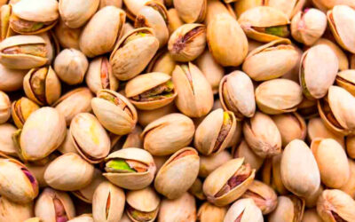 Pistachos regados con 80% menos – ¿Cómo fue posible?