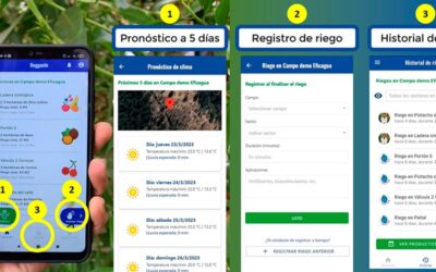 5 motivos por los que usar Reggante